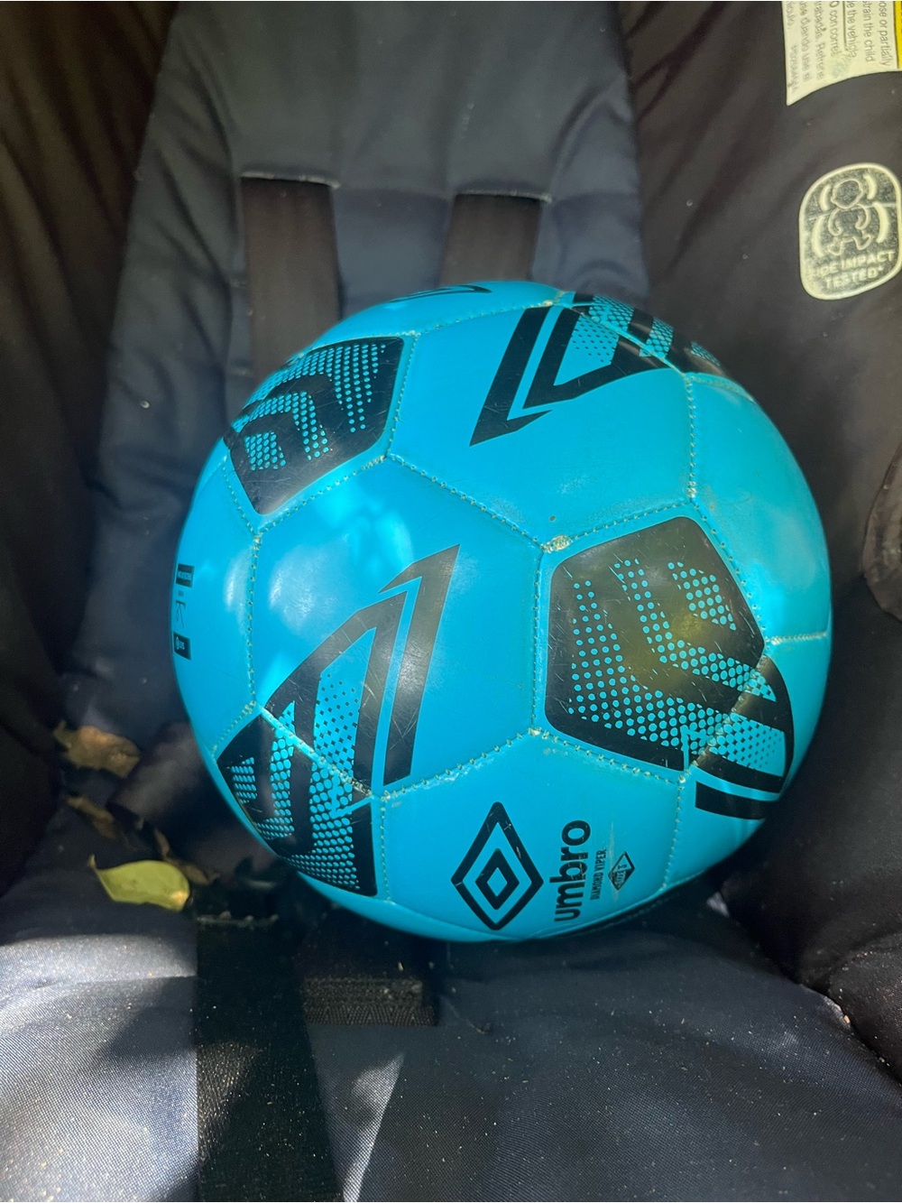 Umbro Teal-Blue Outdoor Training Soccer Ball with Black Graphics